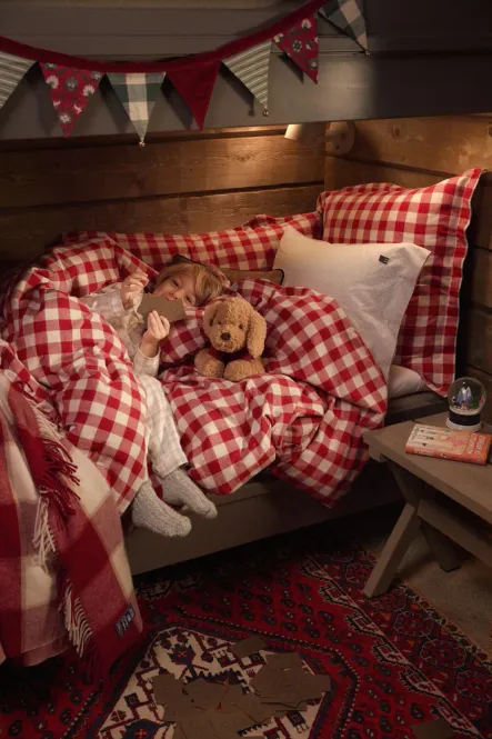 Hovedbilde Lexington HOLIDAY DOG Teddy