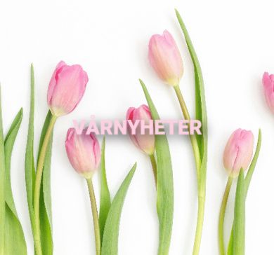 vårnyheter nyheter i butikk vår sommer inspirasjon tulipaner interiør velvære interiørbutikk gavebutikk