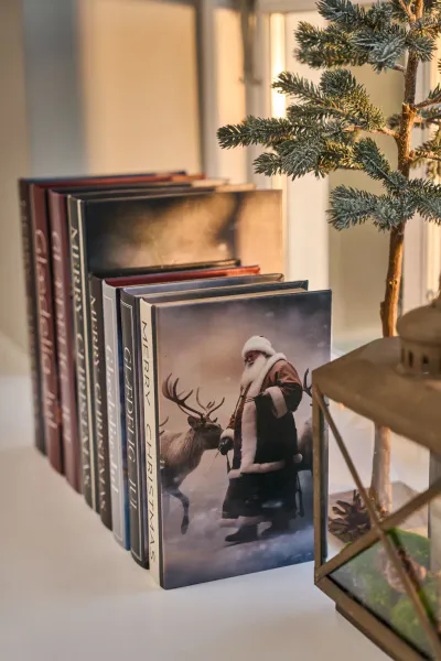 Hovedbilde Speedtsberg BOKS 