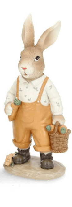 Hovedbilde A Lot KANIN Morotskorg Gutt